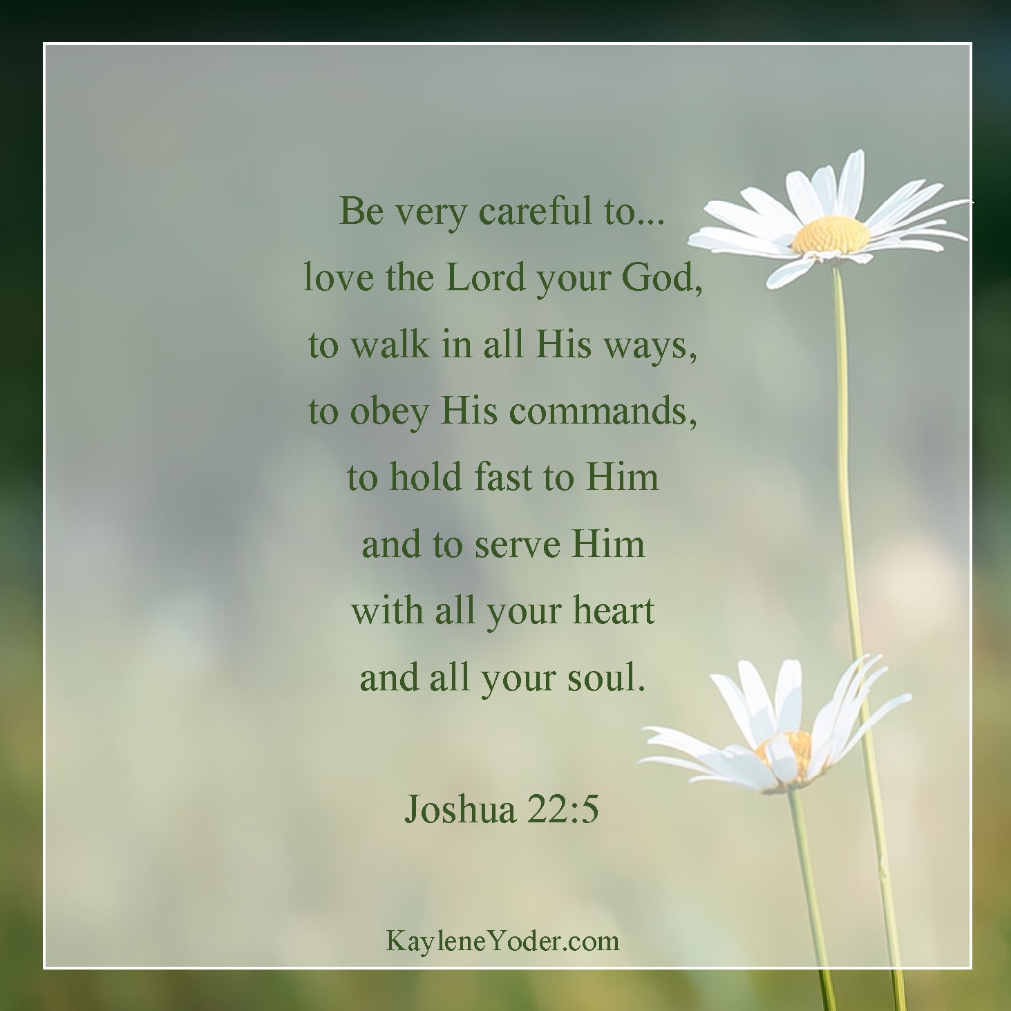 Love the Lord and walk in His ways - Kaylene Yoder