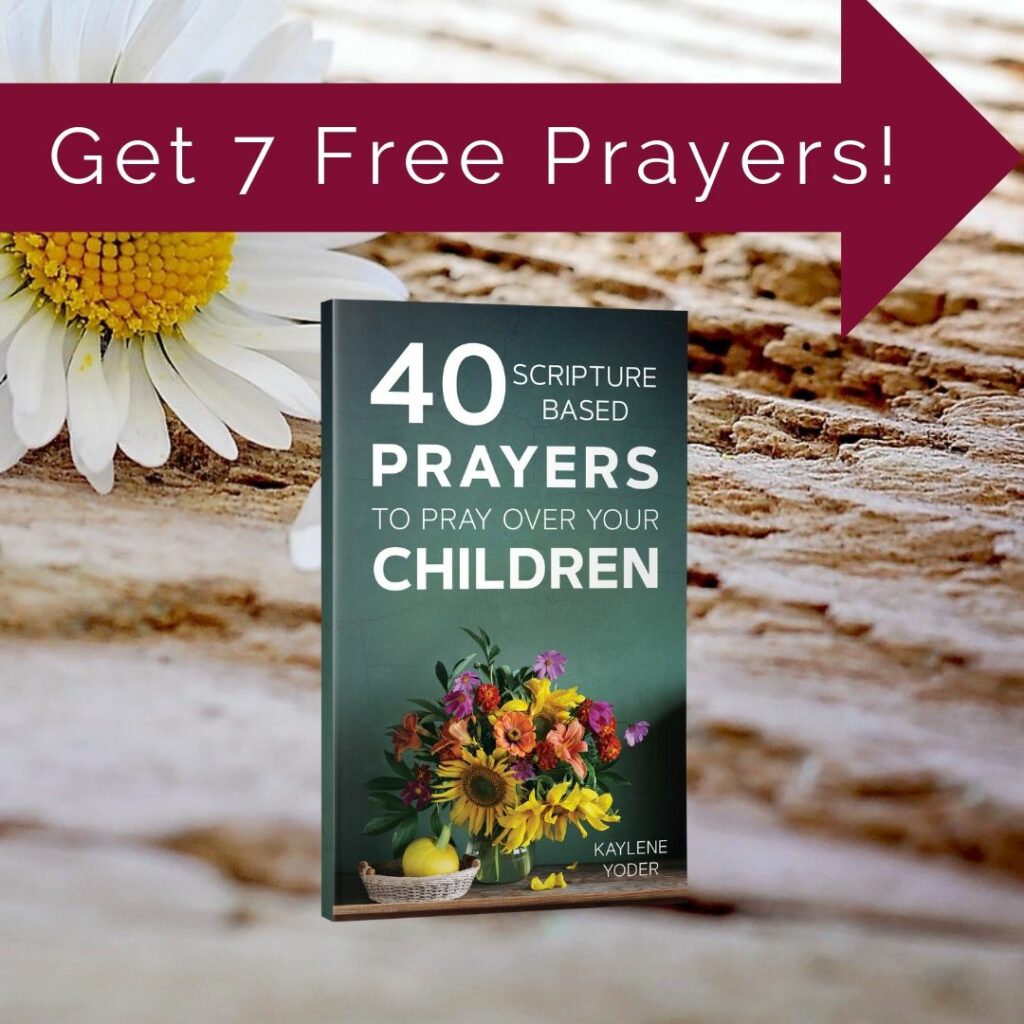 5 Days of Prayers to Pray Over Your SON - Kaylene Yoder