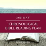 365-day Chronological Bible Reading Plan