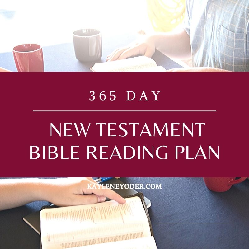 365-day New Testament Bible Reading Plan - Kaylene Yoder