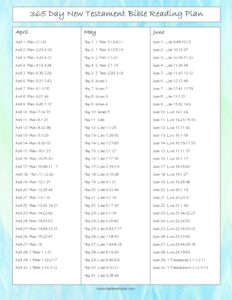 365-day New Testament Bible Reading Plan - Kaylene Yoder