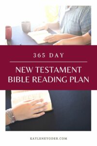 365-day New Testament Bible Reading Plan - Kaylene Yoder