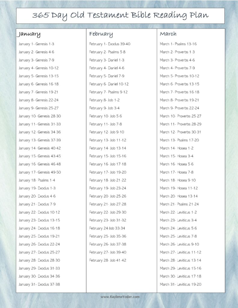365 Day Bible Reading Plan Printable