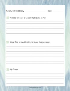 365-day Old Testament Bible Reading Plan - Kaylene Yoder